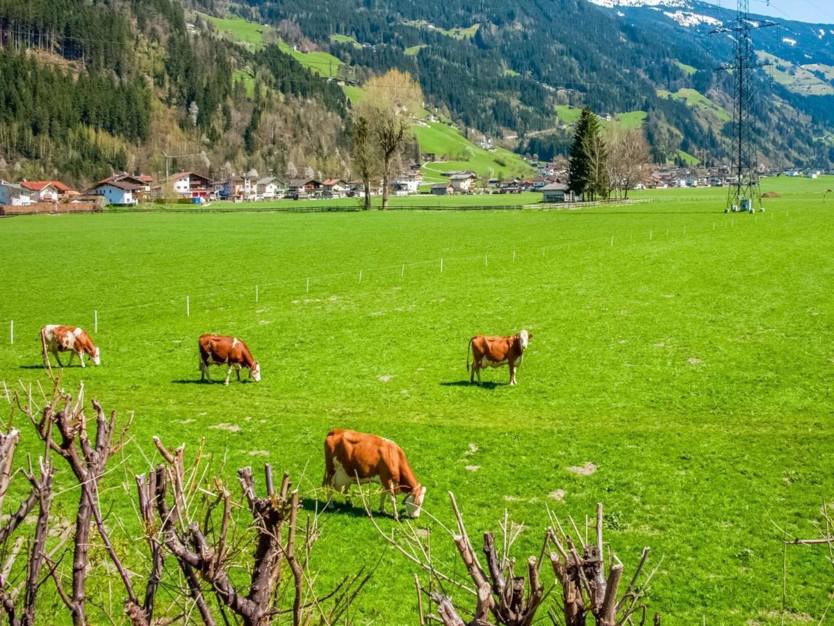 Beautiful Apartment In Ramsau With Balcony Ramsau im Zillertal Luaran gambar